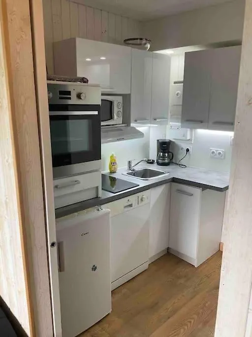 Studio Tres Lumineux 4 Pers Les Carroz d'Araches 0*,  France
