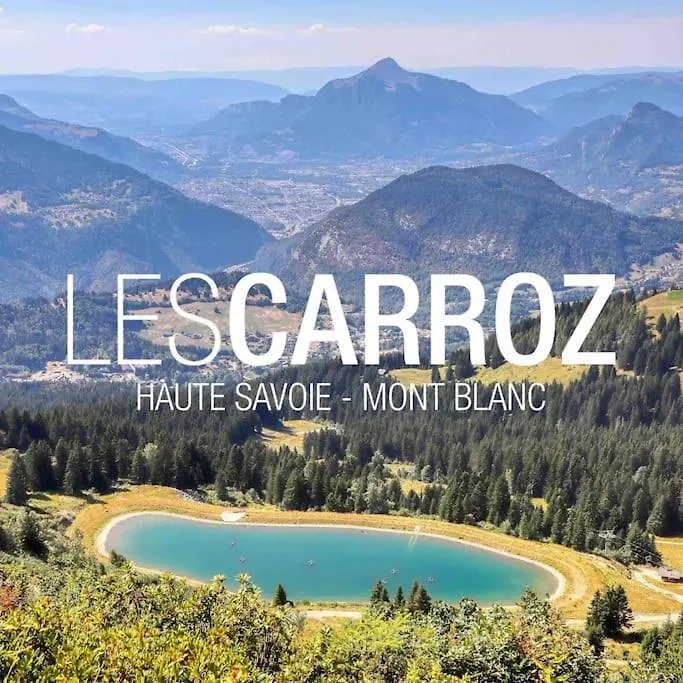 Studio Tres Lumineux 4 Pers Les Carroz d'Araches